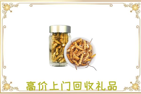 银川市周边回收虫草